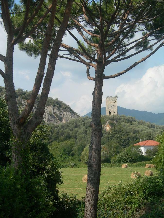 B&B La Rondine Tra Pisa E Lucca San Giuliano Terme Exterior photo