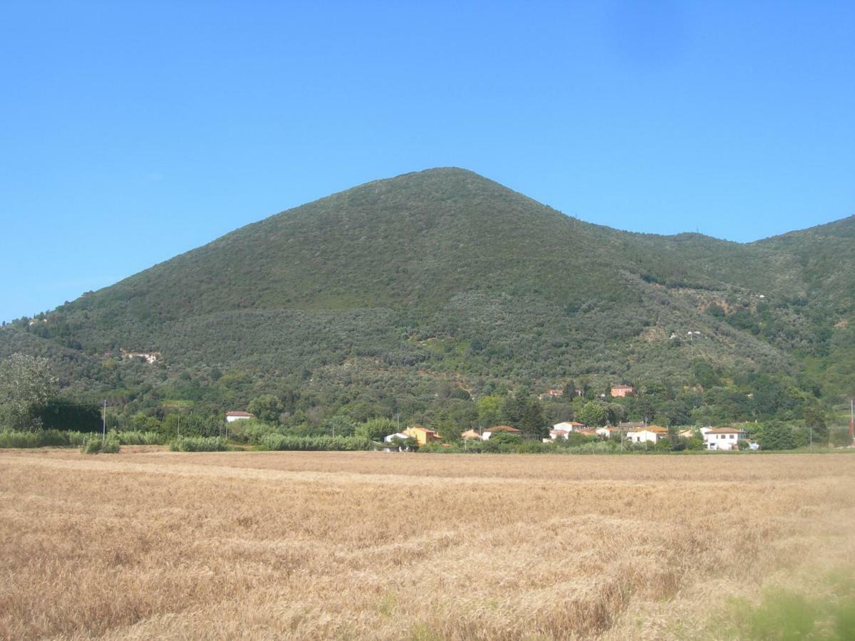 B&B La Rondine Tra Pisa E Lucca San Giuliano Terme Exterior photo